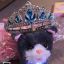 Profile picture princesscatbot.tgirl.gay