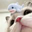 Profile picture yuhwaa.bsky.social