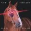 Profile picture horsedisc.bsky.social