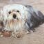 Profile picture nursek49.bsky.social