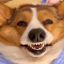 Profile picture okaymanu.bsky.social