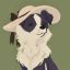 Profile picture colliecariad.bsky.social