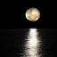 Profile picture sexual-moon.bsky.social