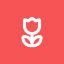 Profile picture ninatherose.bsky.social