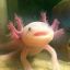 Profile picture secretaboutbox.bsky.social