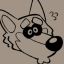Profile picture blimpdoggg.bsky.social
