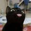Profile picture uwu-azl.bsky.social