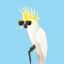 Profile picture birdrespecter.bsky.social