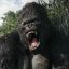 Profile picture skullislandking.bsky.social