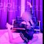 Profile picture boboro679.bsky.social