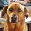Profile picture nj4ever.bsky.social