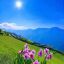 Profile picture dilainne.bsky.social