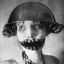 Profile picture anacronices.bsky.social