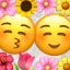 Profile picture himechitofuton.bsky.social