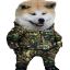 Profile picture simulacron.bsky.social