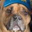 Profile picture jamie-82.bsky.social