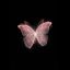 Profile picture gonciti82.bsky.social