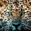 Profile picture diegogaroto.bsky.social