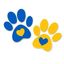 Profile picture straysofukraine11.bsky.social