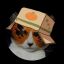 Profile picture horten.bsky.social