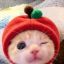 Profile picture xxji222.bsky.social