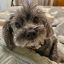 Profile picture lizpazera.bsky.social