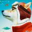 Profile picture krakonjack.bsky.social