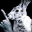 Profile picture posscrite.bsky.social