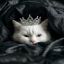 Profile picture miniminizip.bsky.social