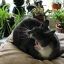 Profile picture ladywillow.bsky.social