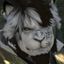 Profile picture joshrothgar.bsky.social