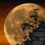 Profile picture lev41.bsky.social