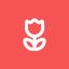 Profile picture sara7881.bsky.social