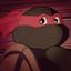 Profile picture thepinkturtle.bsky.social