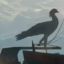Profile picture my12qc.bsky.social