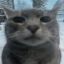Profile picture luecure.bsky.social