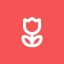 Profile picture debbiers7.bsky.social