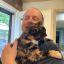 Profile picture arepublic86.bsky.social