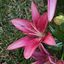 Profile picture dtamayob.bsky.social