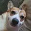 Profile picture soozyooze.bsky.social