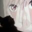 Profile picture lixummxn2020.bsky.social
