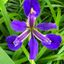 Profile picture sherrilee7.bsky.social