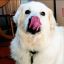 Profile picture kmohwoisme.bsky.social
