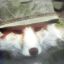 Profile picture orilas.bsky.social