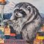 Profile picture jimothythe-raccoon.bsky.social