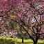 Profile picture louisemiller68.bsky.social