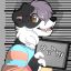 Profile picture collie.baby