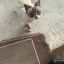 Profile picture phoebe1313.bsky.social