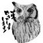 Profile picture o-kei-33.bsky.social