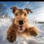 Profile picture dunc99.bsky.social